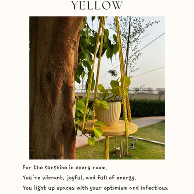 Our 'Swing Story' macrame hanger in Sunbeam Yellow, designed to bring sunshine into any room. This 4-foot piece includes a round rubber wood shelf, perfect for a small plant or your favorite keepsake, and can be easily hung from a curtain rod or ceiling hook.