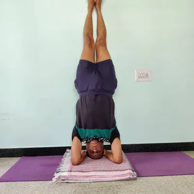 Salamba Shirshasana (Supported Headstand) against a wall. This is the classic form of the pose, building strength in the arms, shoulders, and core. The wall is used for safety as you build stability.