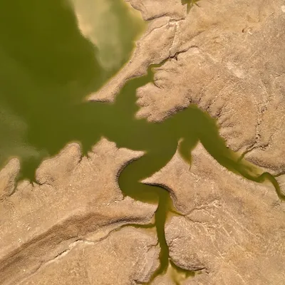 Part of my "Creatures of the Earth" series, this top-down aerial photo captures the abstract shape of a dried riverbed, resembling a "Structured Amoeba." It's about seeing the world with a child's wonder.