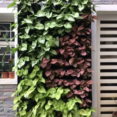 A vertical garden panel showcasing a beautiful pattern created with different varieties of Syngonium. The contrast between the green and reddish-pink leaves creates a living piece of art.