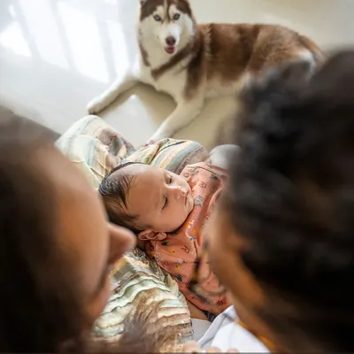 Life is so much better with paws and tiny toes. A newborn baby and a gentle Husky named Aspen sharing a quiet moment. I love capturing the beginning of these beautiful friendships during at-home newborn photography sessions.