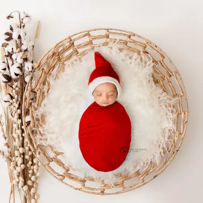A classic newborn portrait, with the baby safely swaddled in red and sleeping peacefully in a rustic wicker basket. The cotton plant adds a soft, natural touch to the composition.