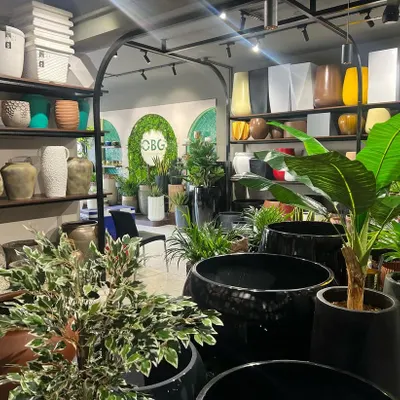 A wider view of our new store at Vertex Treo, Kadri. We have shelves stocked with planters of all shapes, sizes, and colors, ready for you to explore and find the perfect match for your home.
