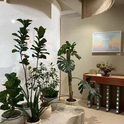 The JOSMO store in Worli was designed as a green oasis within an industrial space. We used clusters of indoor plants and organic-shaped platforms to soften the aesthetic and create a dynamic, artful experience for shoppers.