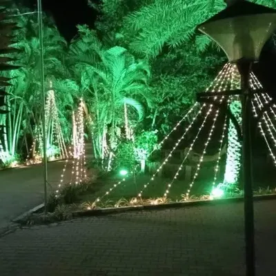 Creative outdoor lighting using strings of fairy lights wrapped around lamp posts and trees to create a magical, festive glow for an evening event.