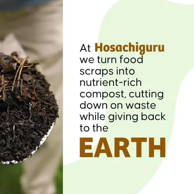 An infographic explaining how we turn food scraps into nutrient-rich compost to give back to the earth.