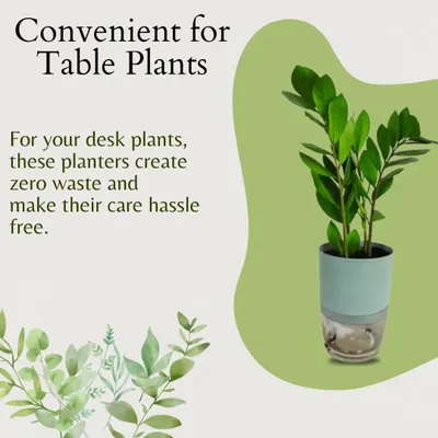 Our self-watering planters are perfect for your desk or table plants. They create zero waste and make plant care hassle-free, ensuring your green buddies stay hydrated even when you're busy.