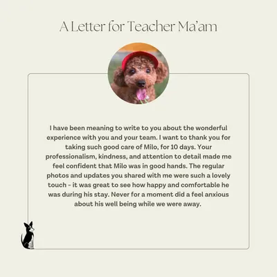 This letter from Milo's family fills our hearts. Knowing they felt confident and not anxious about his well-being during his 10-day stay is exactly what we aim for. The regular photo and video updates are a key part of our service.