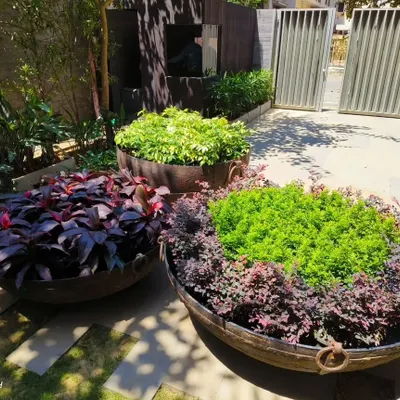 For this client's entrance, I used large, rustic urns to create bold, low-maintenance plant arrangements. The mix of dark purple and bright green foliage provides a beautiful, year-round contrast.