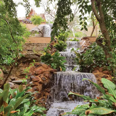 A beautiful man-made waterfall cascades down rocks, surrounded by lush plants, adding to the resort's tranquil ambiance.