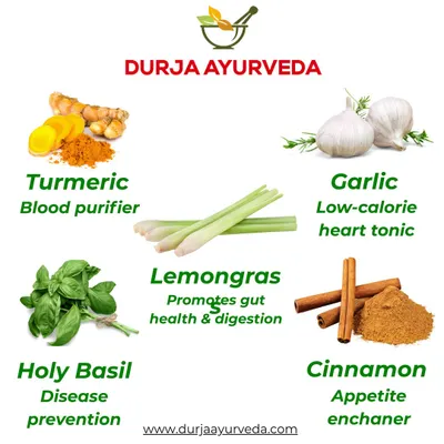 Nature's pharmacy is at the heart of Ayurveda. This image showcases some of the powerful herbs I use, such as Turmeric for blood purification, Garlic as a heart tonic, and Holy Basil for disease prevention.