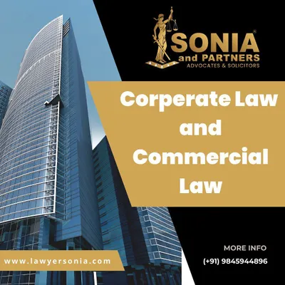 My practice is dedicated to serving the needs of the business community through comprehensive corporate and commercial law services. I provide strategic legal advice to protect your company's interests and facilitate its growth.