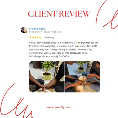 It's completely normal to worry about your pet's first grooming. I'm so glad I could provide an awesome and affordable experience for Oggy and his owner.