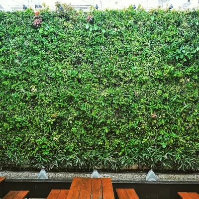 This flagship coir green wall at 1131 Bar and Kitchen is one of our largest installations, featuring over 7,300 plants. Located in an open courtyard, it acts as a massive natural air purifier and a breathtaking living feature wall for patrons.