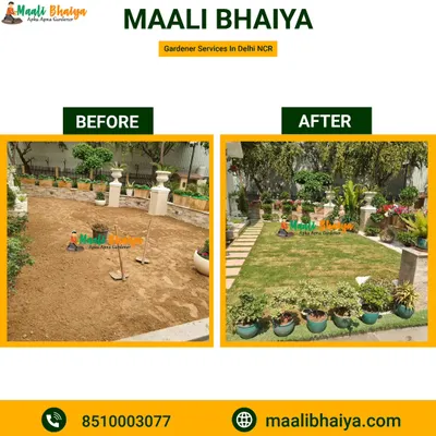 A classic garden transformation. I took a patch of barren soil and turned it into a soft, green lawn surrounded by beautiful potted plants. This is a core part of my landscape design service for residential homes.