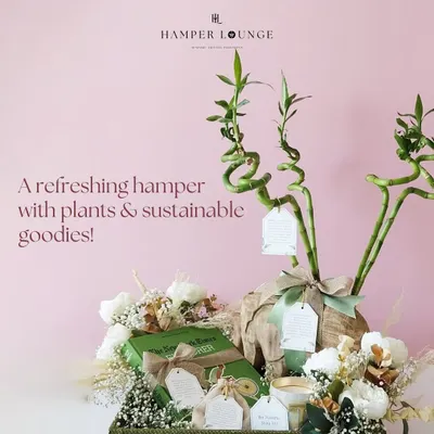 A refreshing hamper with plants and sustainable goodies. This gift is a breath of fresh air, featuring a lucky bamboo plant, eco-friendly treats, and jute-crafted bags for a touch of natural elegance.