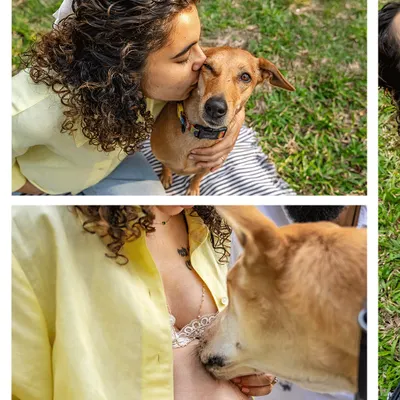 A collage showing a mother-to-be kissing her indie dog and the dog gently nuzzling her baby bump during an outdoor maternity shoot.