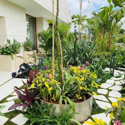 A vibrant terrace garden at a Bangalore residence, showcasing a mix of colorful foliage and flowering plants in custom planters. The design uses a natural stone path to create movement and accessibility through the dense greenery.