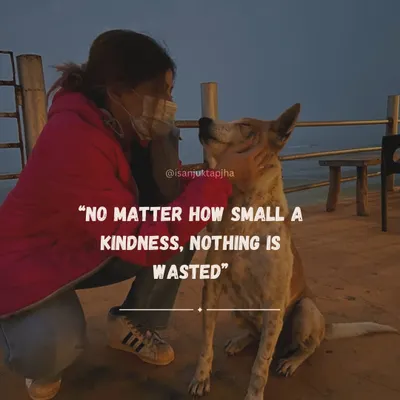 A touching moment with a stray dog, emphasizing the importance of kindness to animals. This post reflects my core values and my work as an animal rights advocate.