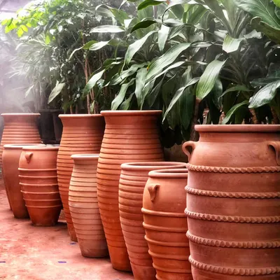 Our Terrapotta range is all about rustic beauty. This new stock of handmade terracotta pots, with their varied shapes and textures, sells out super fast. We are now shipping them all across India.