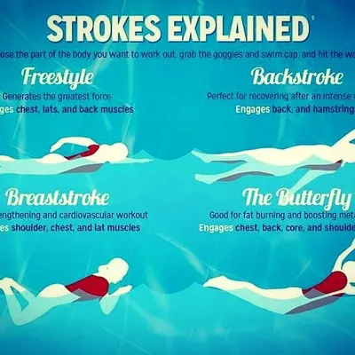 We teach more than just how to stay afloat. This guide shows the four main swimming strokes we teach in our curriculum: Freestyle, Backstroke, Breaststroke, and Butterfly. Our structured program ensures you learn proper technique for an effective workout and lifelong skill.