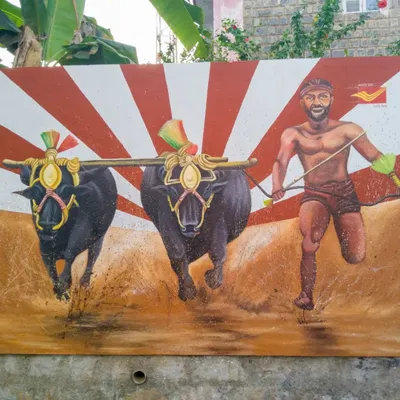 A full view of our Kambala mural, a dynamic depiction of the traditional buffalo race. This public artwork captures the motion and energy of this beloved Tulunad sport.