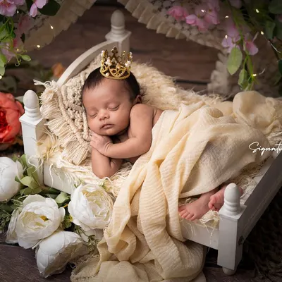 A sleeping prince in his royal cot. This classic newborn portrait uses soft, neutral tones, delicate flowers, and a tiny crown to create a timeless and elegant image.
