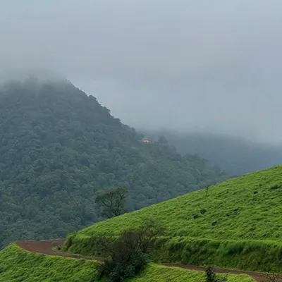 The rolling green hills of Kodachadri as seen from the trail, with a hint of mist in the distance. This trek offers a beautiful mix of landscapes.