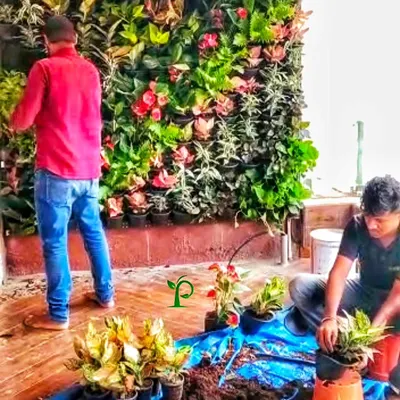 My team is hard at work transforming this balcony into a serene oasis, even during the Mumbai rains. We are installing a colorful vertical garden that will bring life and beauty to this outdoor space.