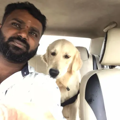 This Golden Retriever is my co-pilot. I make sure to give them company and reassurance throughout the entire car journey.
