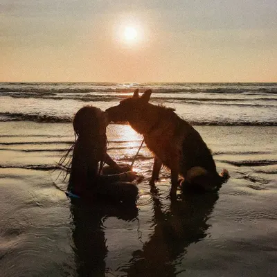 Sunsets on the beach with my best boy. These are the moments of pure connection that I want every dog owner to experience.