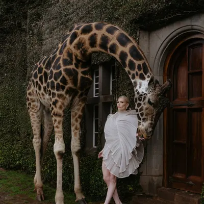 A truly magical moment at Giraffe Manor in Kenya. It's not every day that a giraffe becomes part of a bridal portrait, but for Monica, it created an image that is as unique and unforgettable as her wedding day.