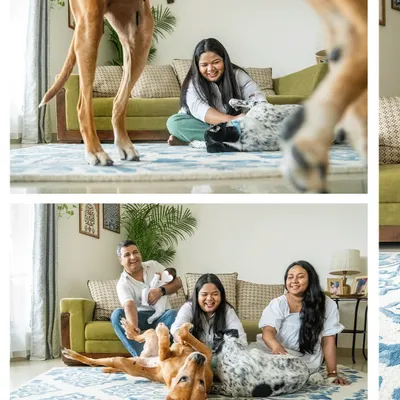 A collage showing a family's two large dogs playfully interacting on the floor and then calmly looking on as the parents hold their newborn baby.
