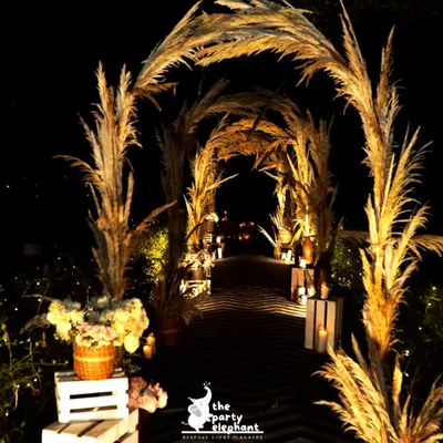 The entrance to this 40th birthday was designed to be dramatic and enchanting. I created a beautiful arched walkway using pampas grass, illuminated to create a warm glow and a stunning first impression for guests.