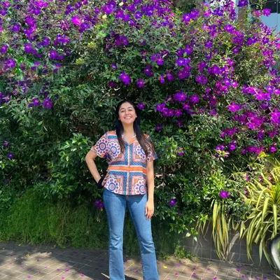 A healthy, mature Melastoma shrub covered in vibrant purple flowers. We provide the expert pruning and plant care needed to encourage such prolific blooming, turning a simple shrub into a stunning visual anchor.