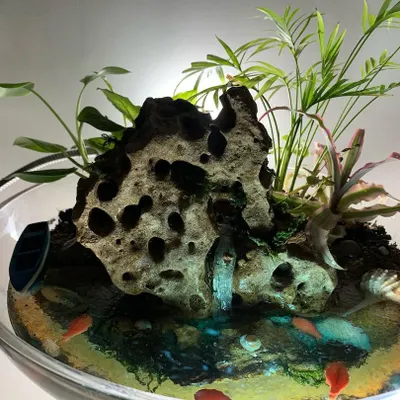 This is another view of the miniature waterfall garden, showing how different types of plants like palms and bromeliads can be incorporated. The porous rock and shells add to the realistic beach-like landscape.