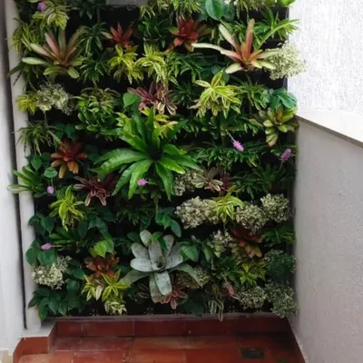A mixed-foliage vertical garden installed in a tight space. I used a variety of plants including Bromeliads and ferns to create a rich tapestry of textures and shades of green and red.