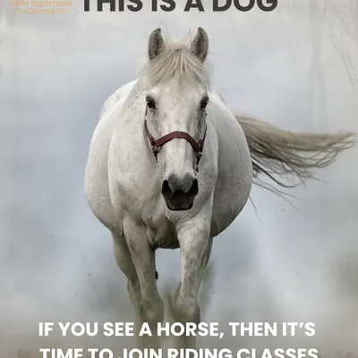 If you see a horse, it's time to join our riding classes! We love a bit of equestrian humor, and we know that once you start seeing horses everywhere, you've caught the bug.