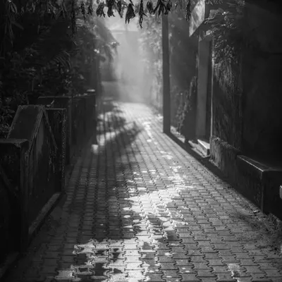 Sunbeams break through the morning mist onto a cobblestone path in a small village. This black and white treatment emphasizes the play of light and shadow, creating a nostalgic and timeless feeling.