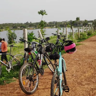 A collection of our bikes parked by the lakeside. You can see a mix of road bikes and hybrids, ready for any terrain.