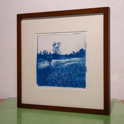 A recently commissioned cyanotype, beautifully mounted and framed. The striking blue was chosen to complement the client's rusty-red laterite and mud walls.