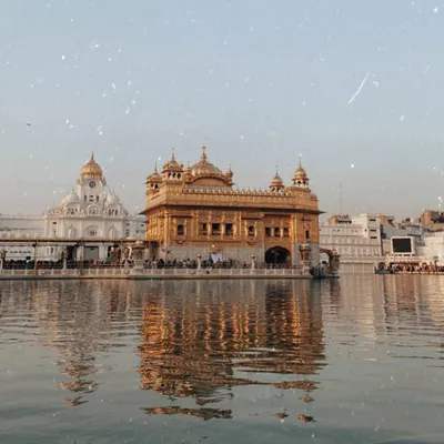 The Golden Temple, a place of peace and the heart of my inspiration. Moments of shukar (gratitude) here fuel my creativity and remind me of the light I hope to share through my art.