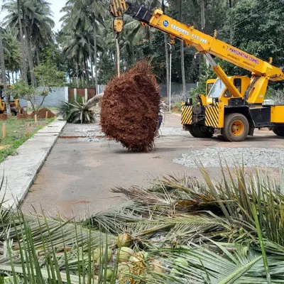A massive root ball of a mature tree is carefully lifted by our crane. Preserving this much of the root system is key to the tree's survival and is a standard part of our operational procedure.