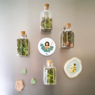 My terrarium fridge magnets are a fun and unique way to add some green to your kitchen. Here they are, arranged on a fridge, creating a tiny vertical garden.