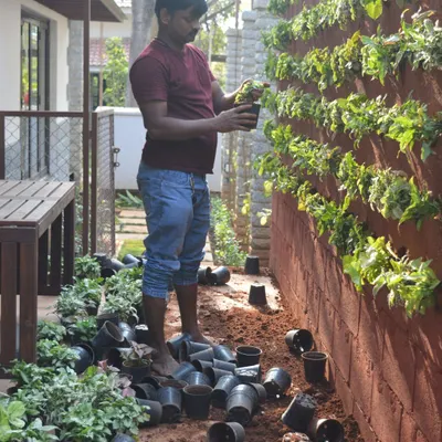 Getting my hands dirty is part of the job. Here, I am in the middle of installing a new vertical garden, surrounded by saplings ready to be planted. This is the groundwork for creating a beautiful living wall.