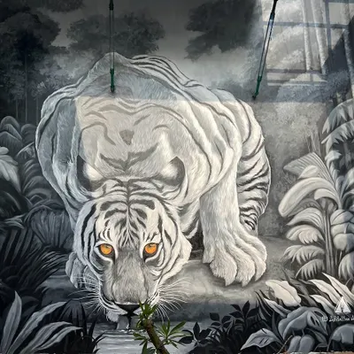 The full view of the 'Pili Kula' tiger mural, showing the powerful animal as it crouches to drink from a stream. The monochromatic color scheme with piercing orange eyes creates a dramatic effect in this clubhouse atrium.
