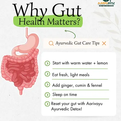 Your gut is your body's second brain. We believe that when it's healthy, your mood, energy, and immunity thrive. We offer simple Ayurvedic tips and a full Ayurvedic Detox program to reset your gut health.