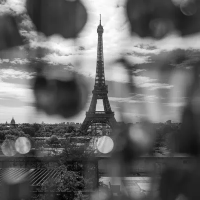 A creative shot of the Eiffel Tower in Paris, viewed through a foreground element that creates beautiful bokeh. This black and white fine art photo plays with focus and framing.