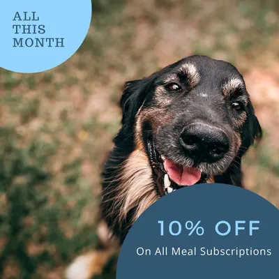 To help you get started on a fresh food journey, I'm offering 10% off on all new meal subscriptions. It's a great way to see the difference fresh food can make.