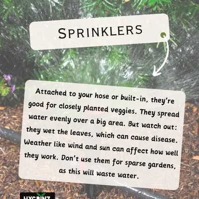 This guide explains how sprinklers work. They are best for large, closely planted areas like vegetable patches or lawns. However, it's important to consider factors like wind and sun, which can affect their efficiency.